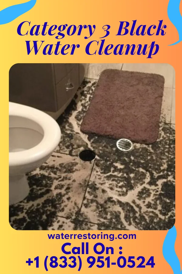 Category 3 Black Water Cleanup in Grifton, NC