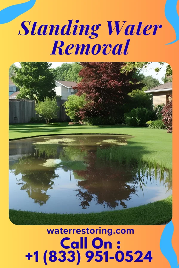 Standing Water Removal in Grifton, NC